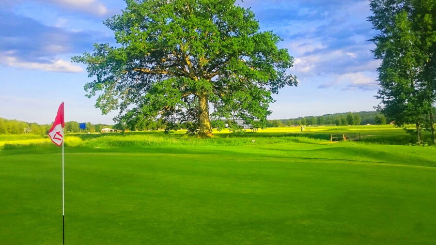 Ramkvilla GC: #8
