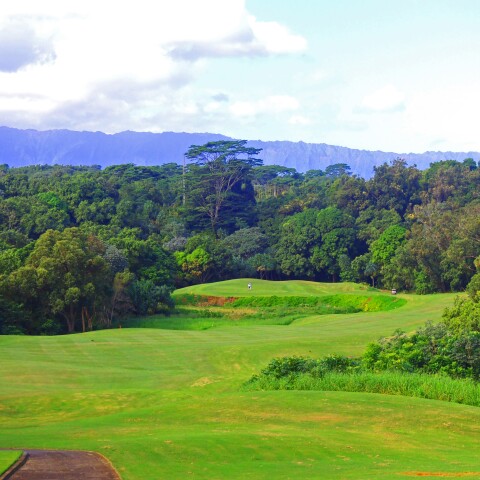 Princeville - Prince golf course - No. 1