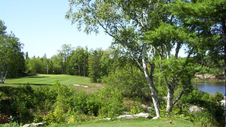 Sly Fox GC: #3