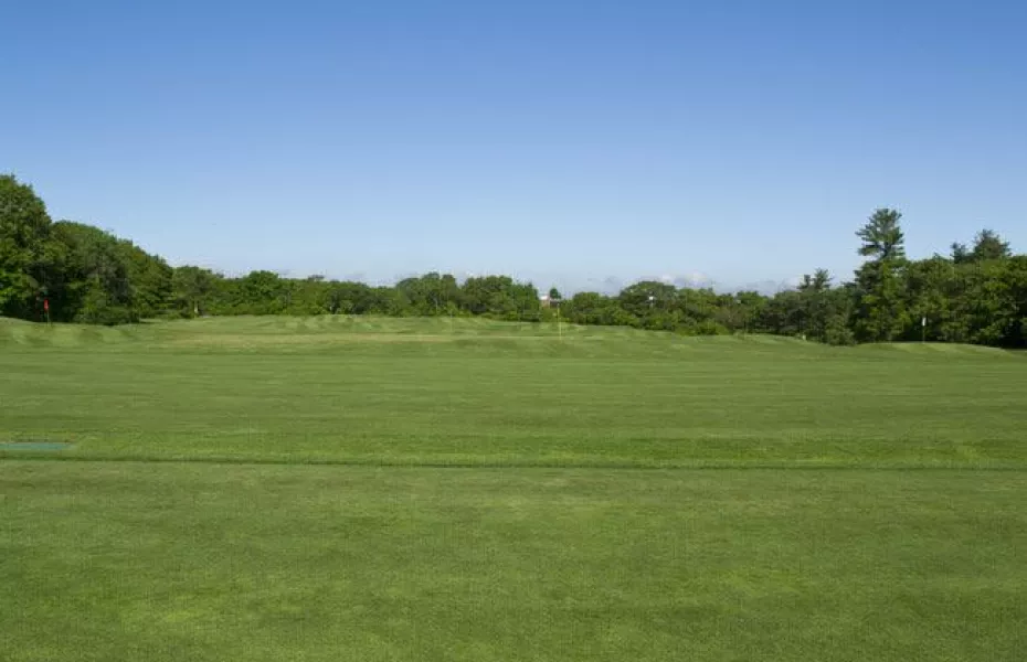 Tedesco CC: Practice area