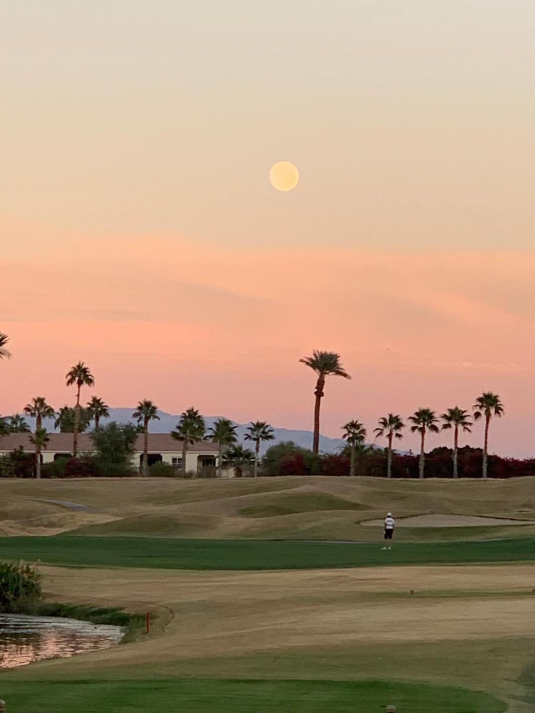 (Photo submitted by BVHERROLD on 11/10/2019)