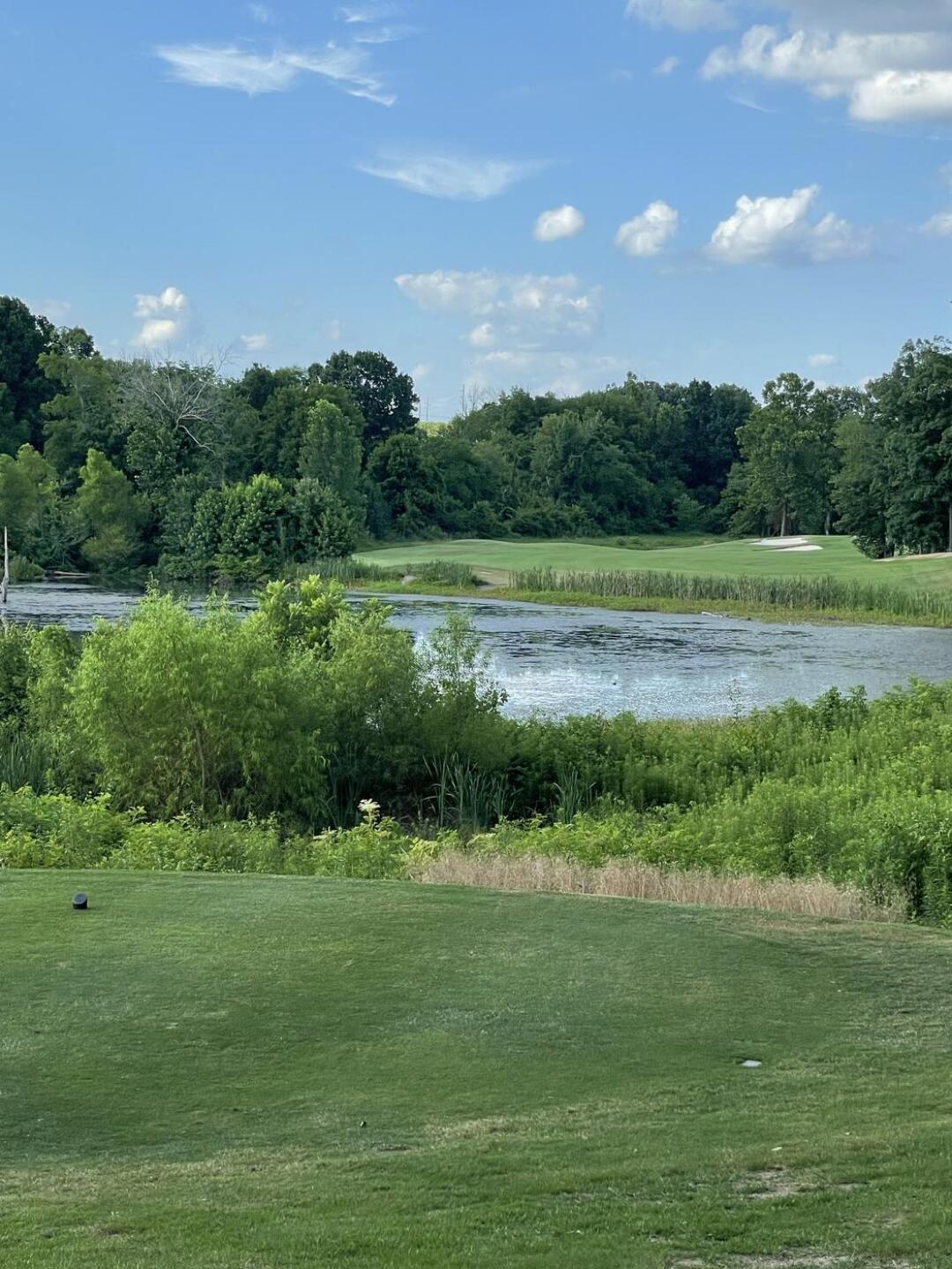 (Photo submitted by u959186366 on 06/20/2024)