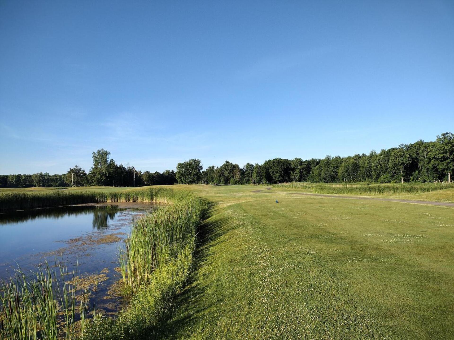 (Photo submitted by dwal64 on 06/24/2022)