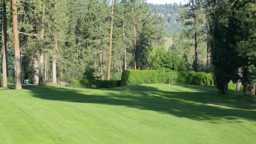 Downriver GC