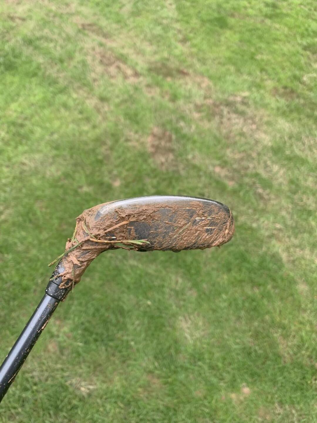 (Photo submitted by hodgejl on 04/02/2023)