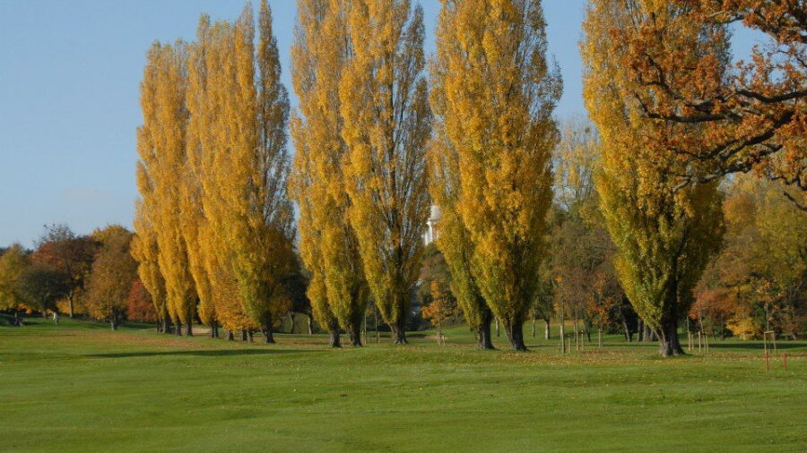 Calcot Park GC: #5
