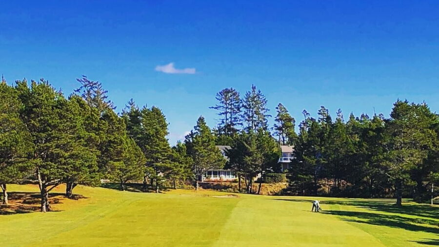 Manzanita Links