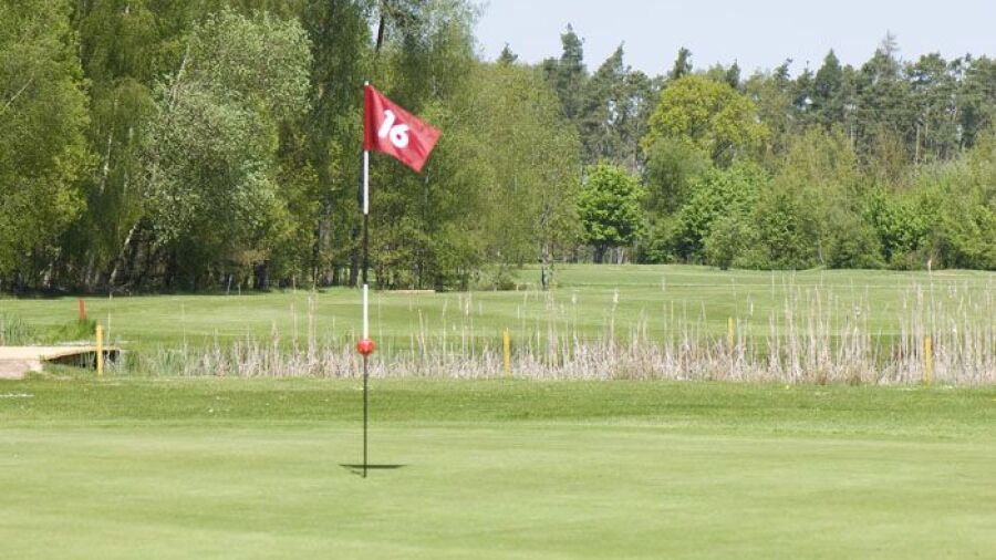 Lichtenau-Weickershof GC: #16