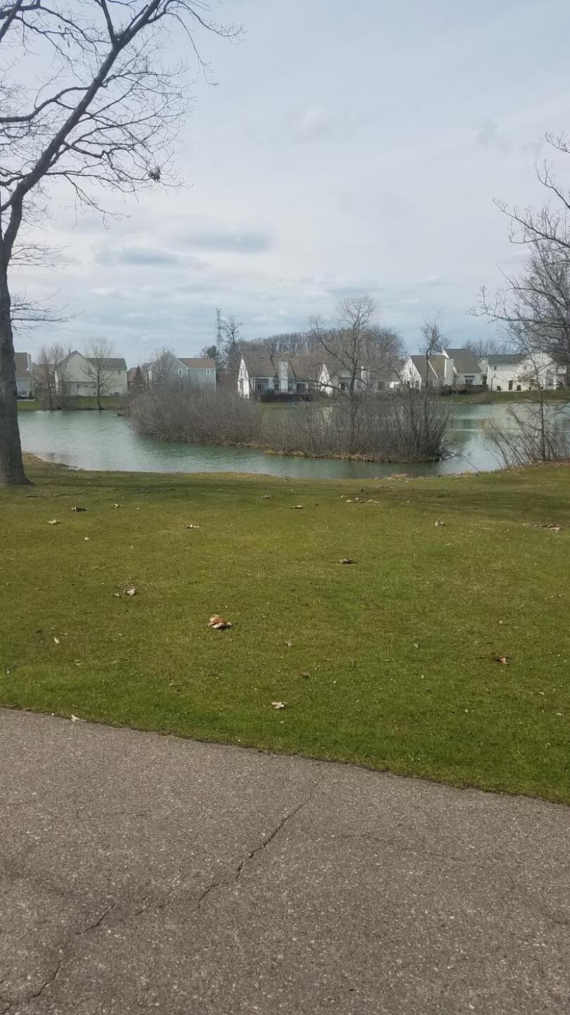 (Photo submitted by howardkhru on 05/02/2020)