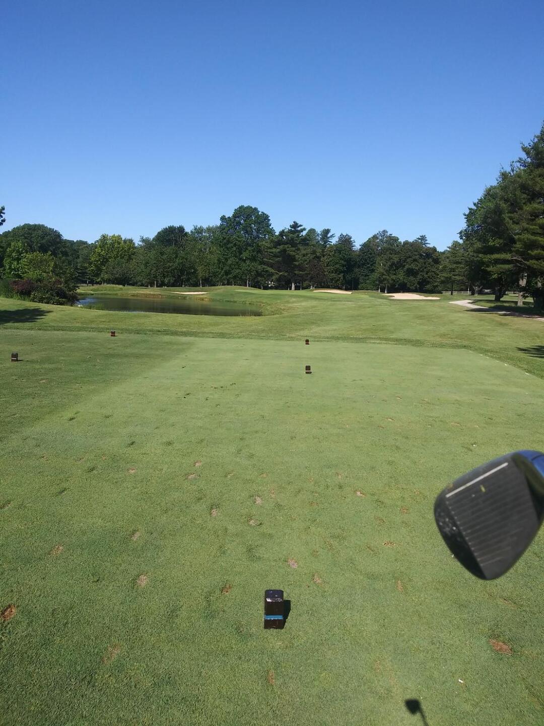 (Photo submitted by ZSDQ71ZAximYmNj0r2dU on 06/16/2021)