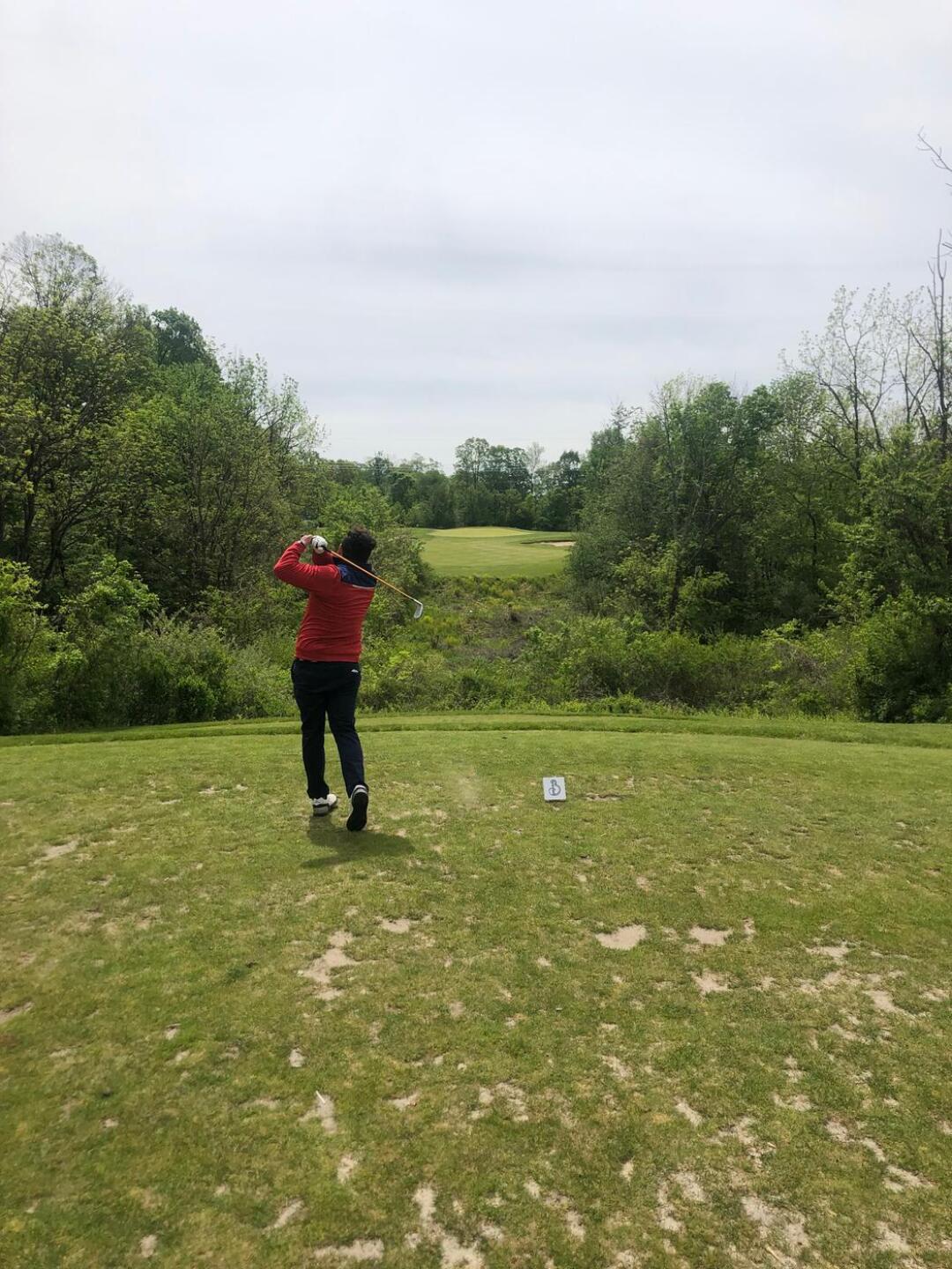 (Photo submitted by vpallitto on 05/20/2020)