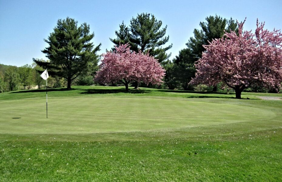 Twin Brooks CC