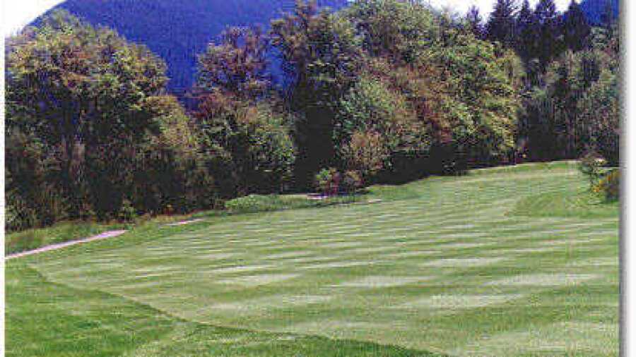 Elkhorn GC: #18
