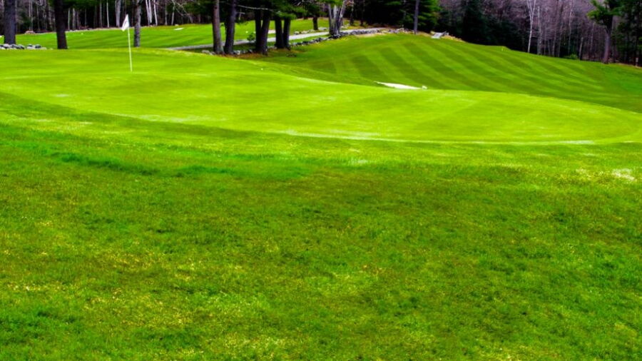 Hooper GC: #3