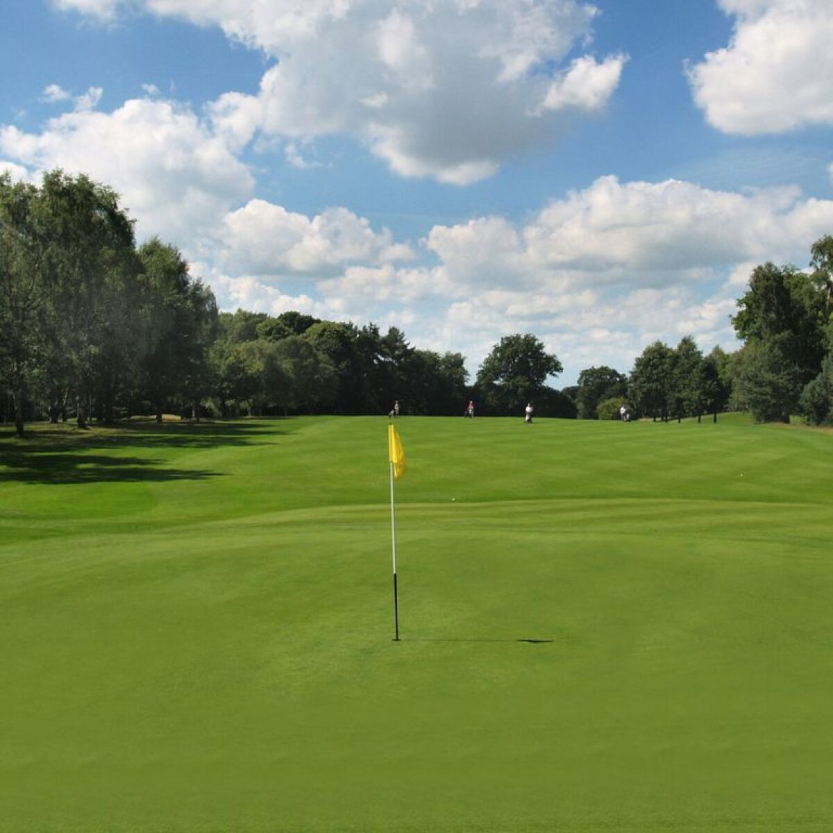 Carlisle Golf Club In Aglionby Carlisle England Golf Advisor
