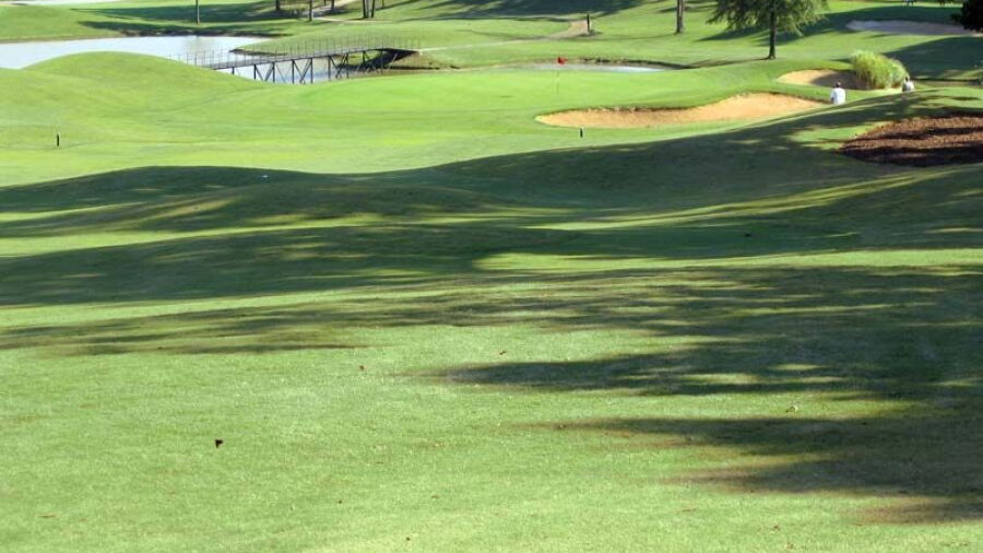 Holly Ridge GL: #15