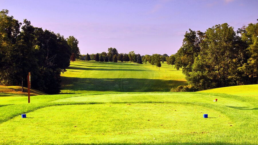 Livingston CC: #7