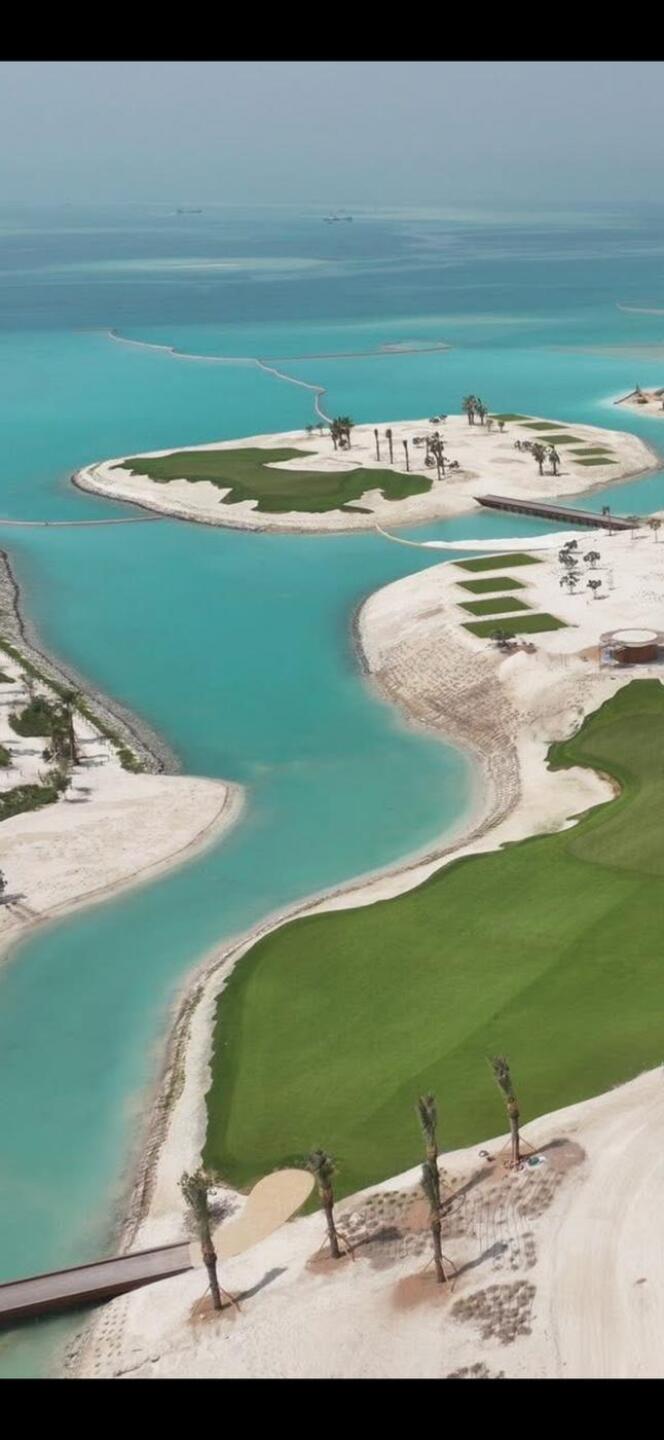 (Photo submitted by gitjiggy on 02/06/2026)