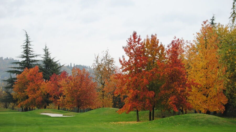 Parco dei Colli Sporting GC