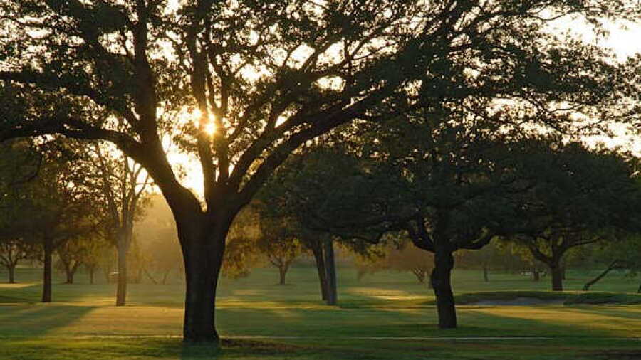 San Antonio CC