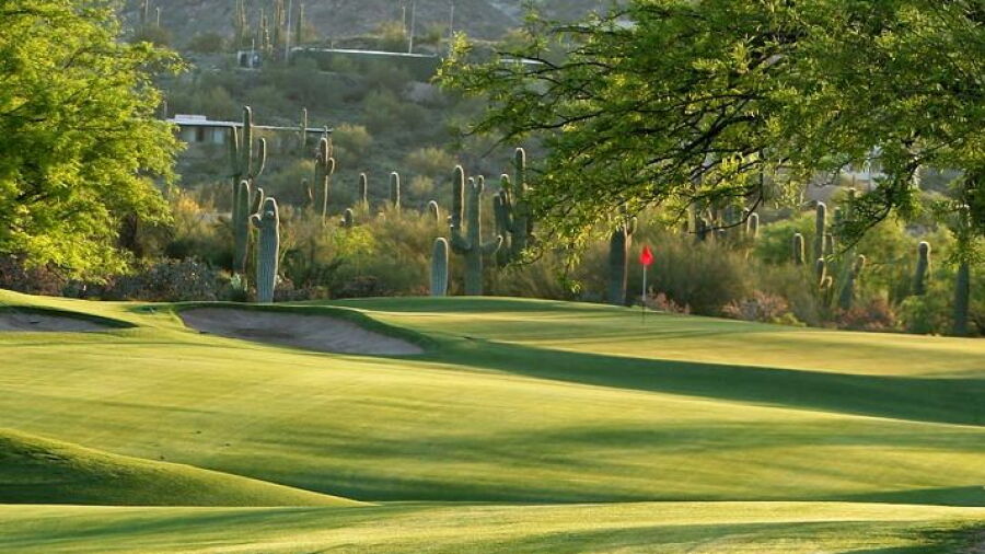 Desert Forest GC