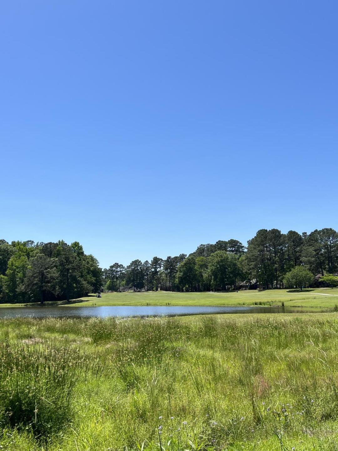 (Photo submitted by m2kearl on 04/19/2023)