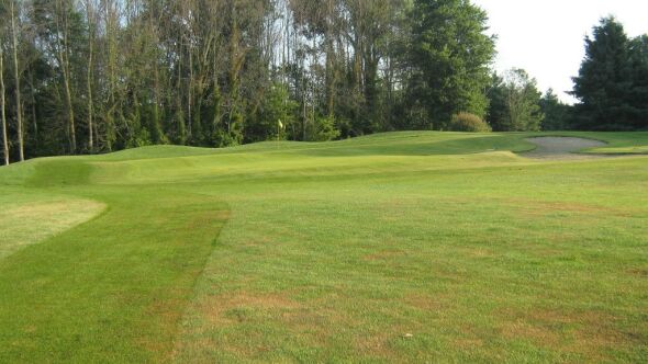 Dutton Meadows GC: #5