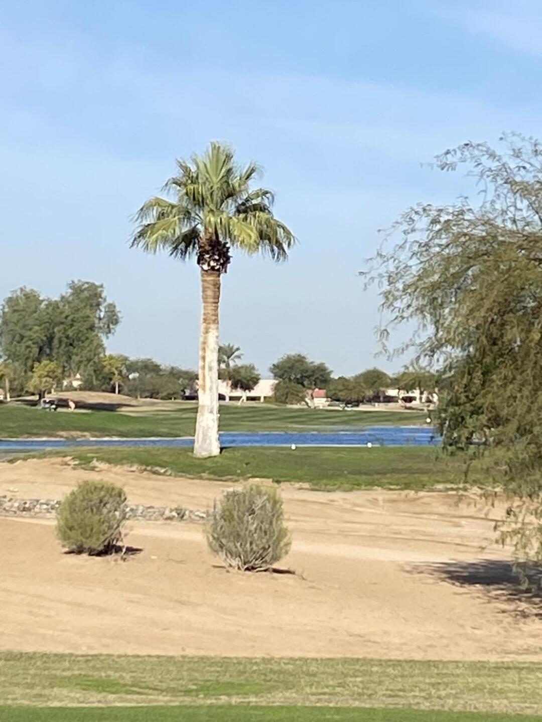 (Photo submitted by teamfanelli on 11/24/2022)