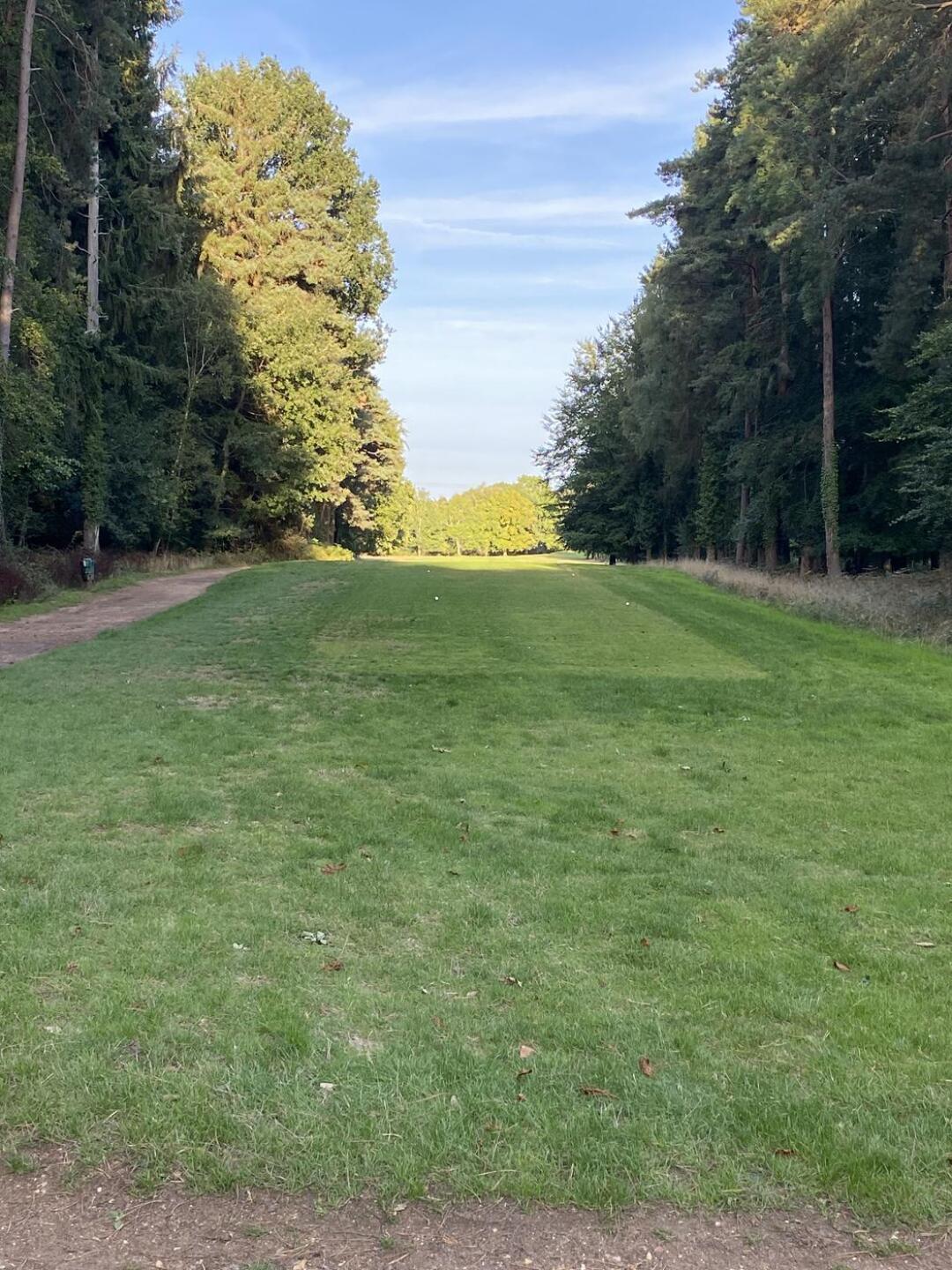 (Photo submitted by ZxgDOMtrprmtBbAJ1ywW on 09/07/2025)