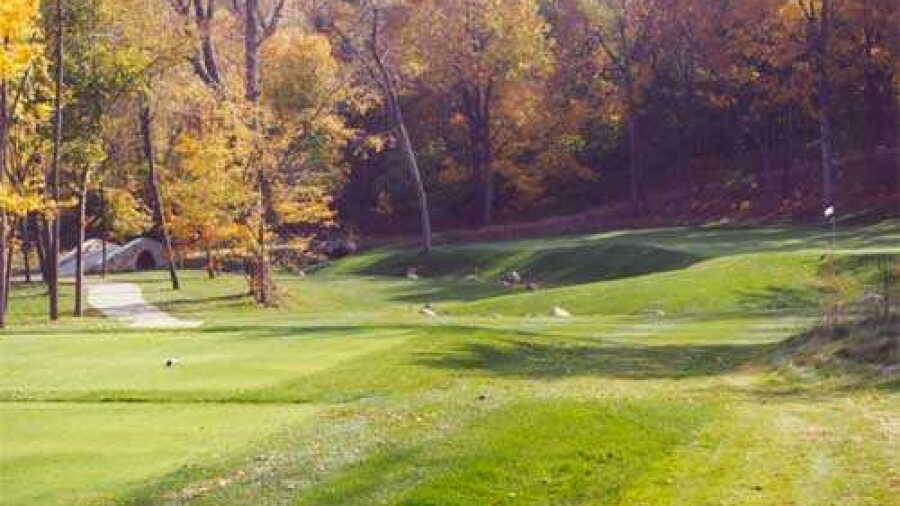 Coyote Crossing GC: #8