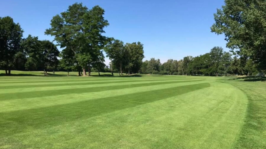 Pfalz Neustadt an der Weinstrasse GC