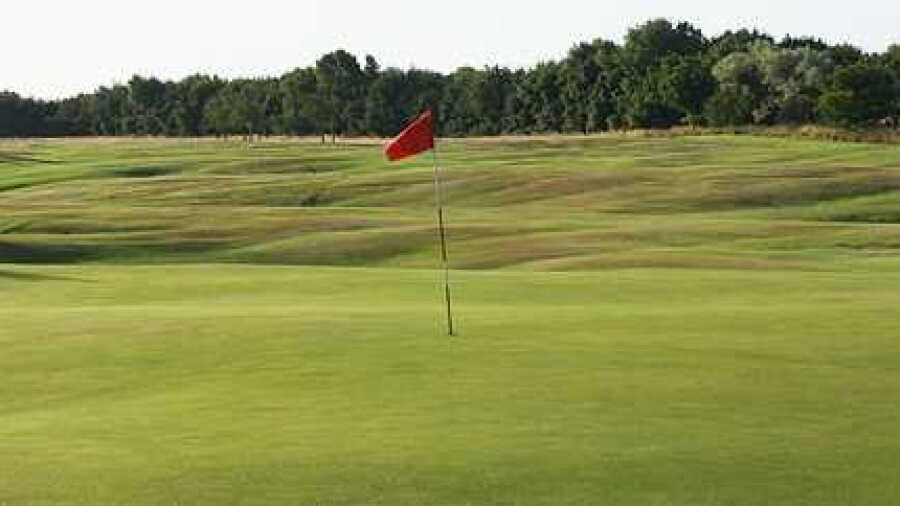 Newcastle United GC: #17
