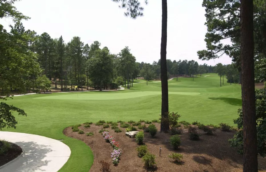 Magnolia at Pinewild CC: #11