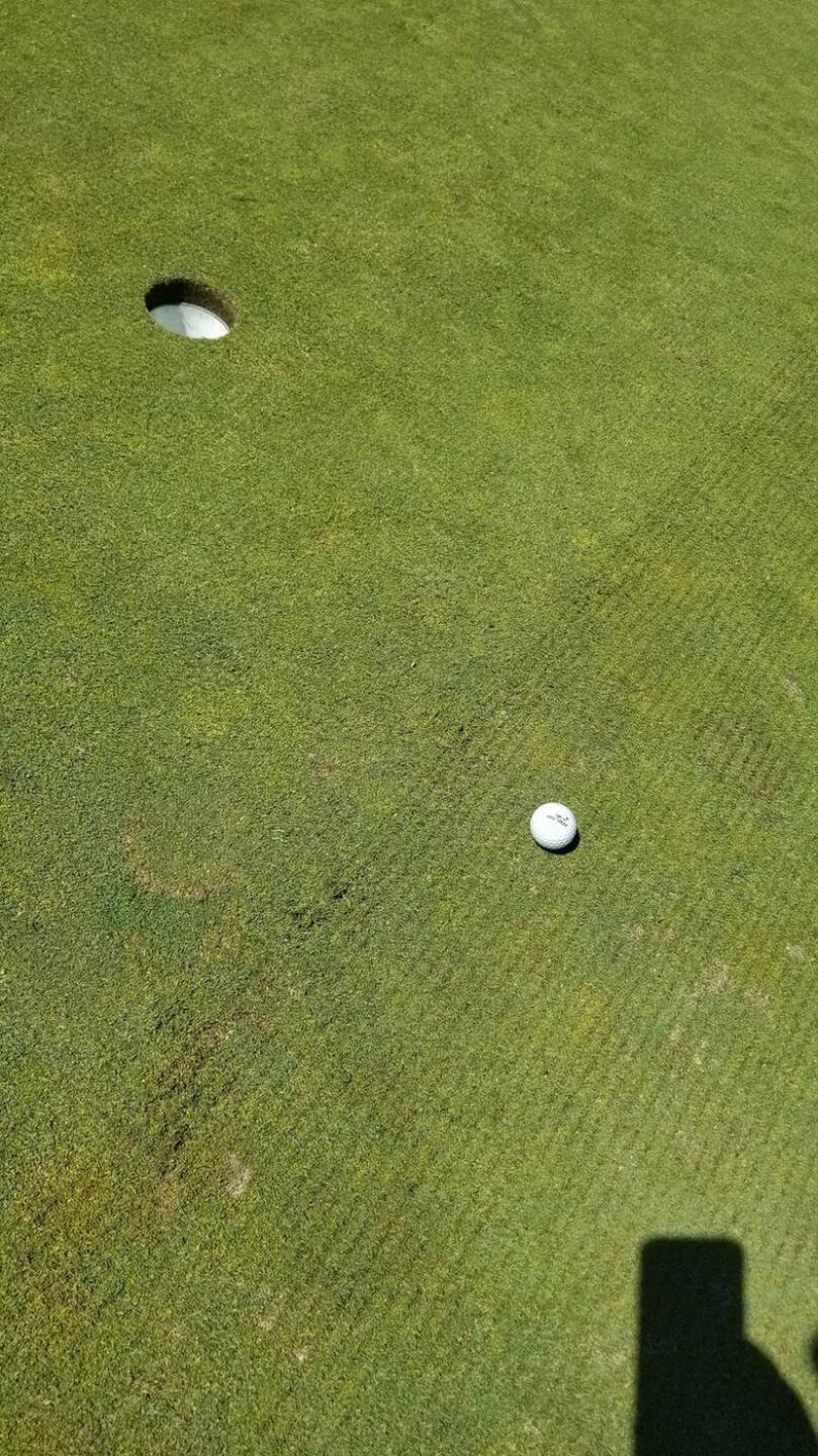 Deep Ruts on every Green. (Photo submitted by Ron2108443 on 07/12/2018)