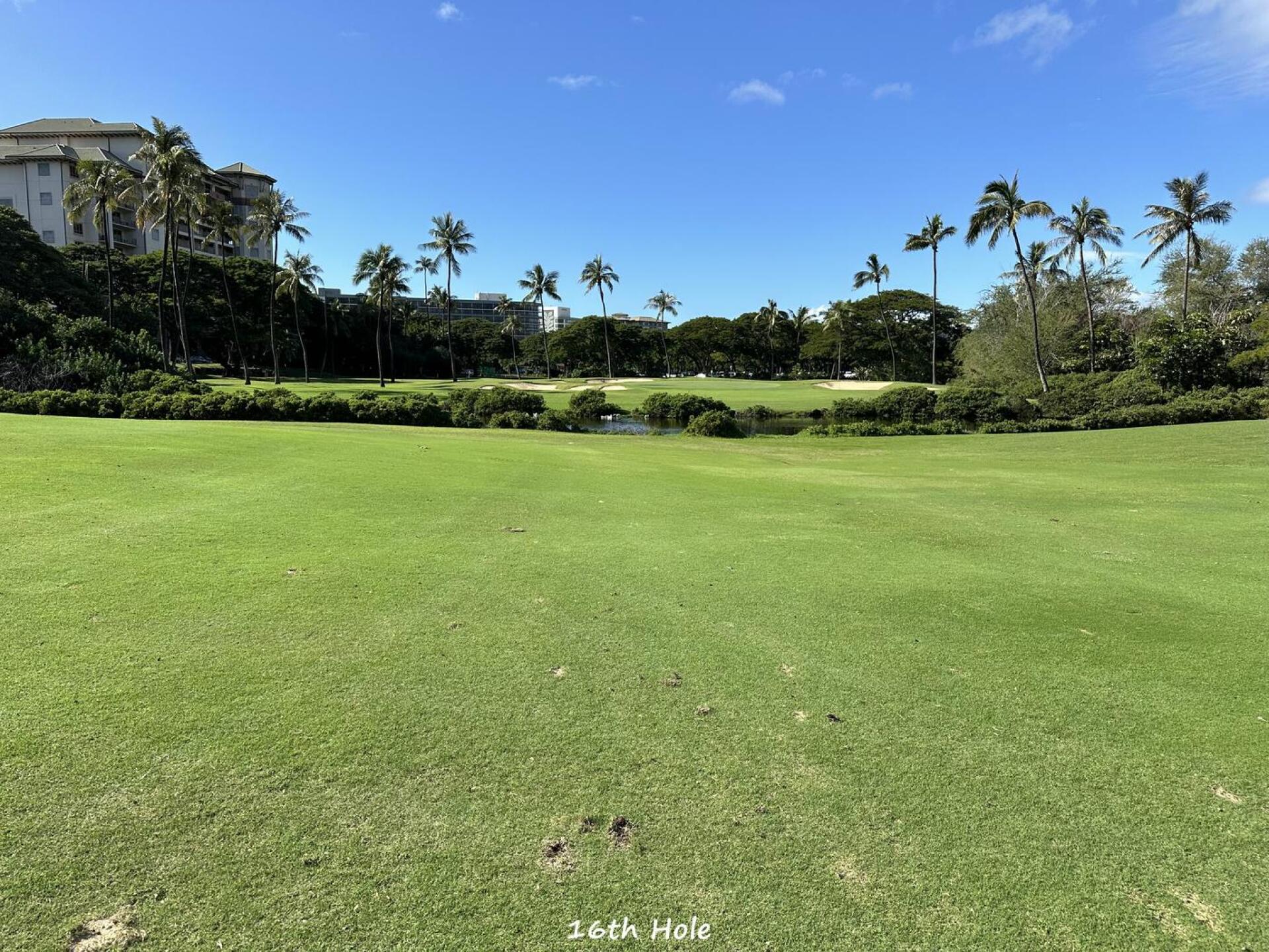 (Photo submitted by mrz7700 on 02/16/2025)