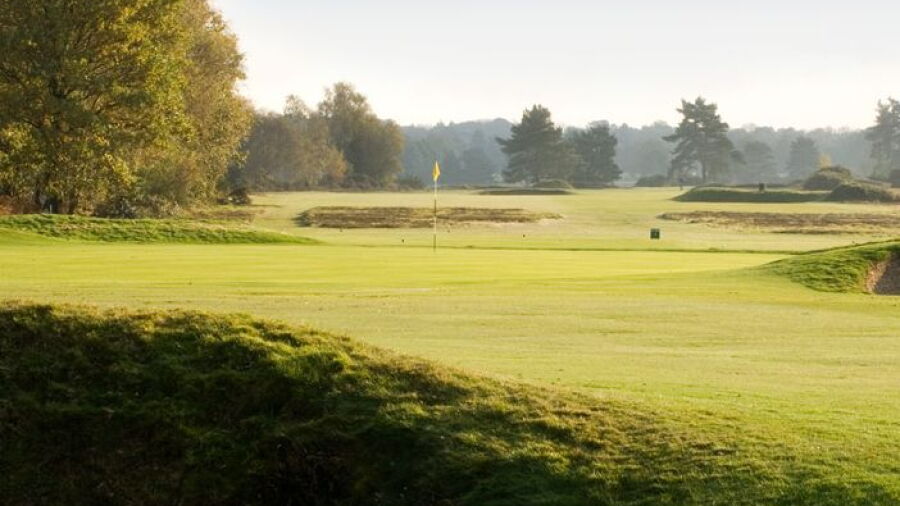 Walton Heath GC - Old: #3