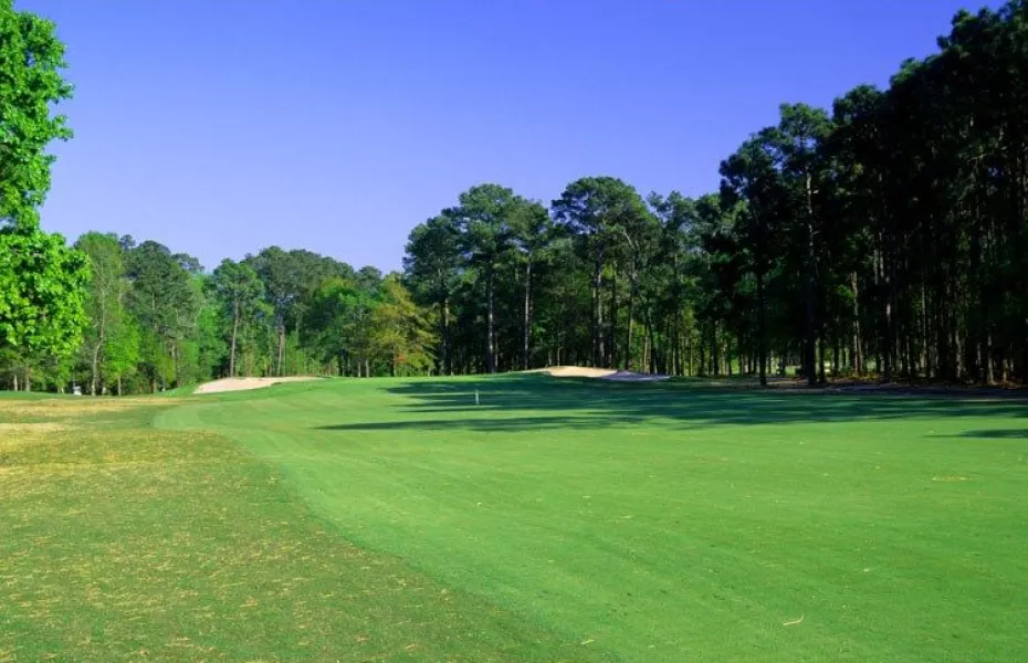 Waterway Hills GC: Trees