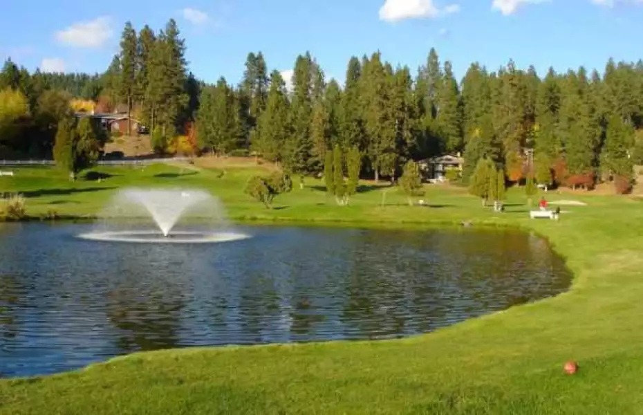 Ponderosa Springs GC: #4