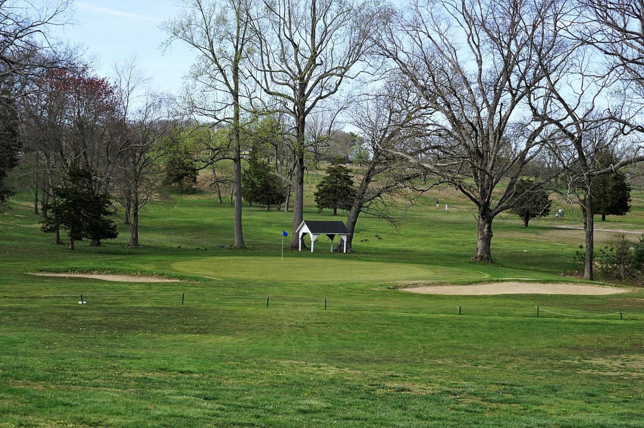 Eight is a classic downhill par-3 requiring accuracy with your mid or short iron. (Photo submitted by AptlyLinked on 05/02/2022)