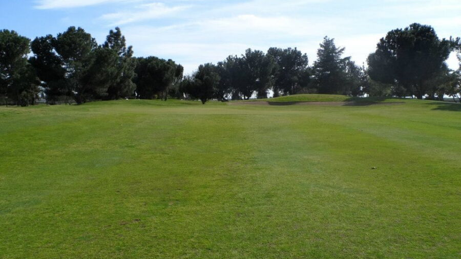 Madera GC: #10