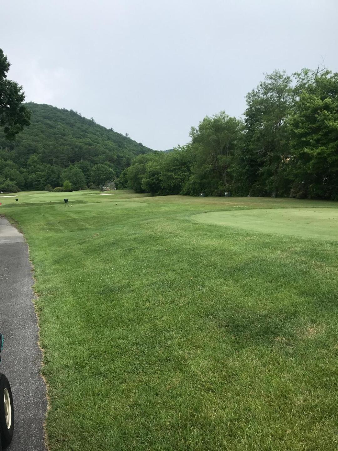 (Photo submitted by jone1981 on 06/07/2019)