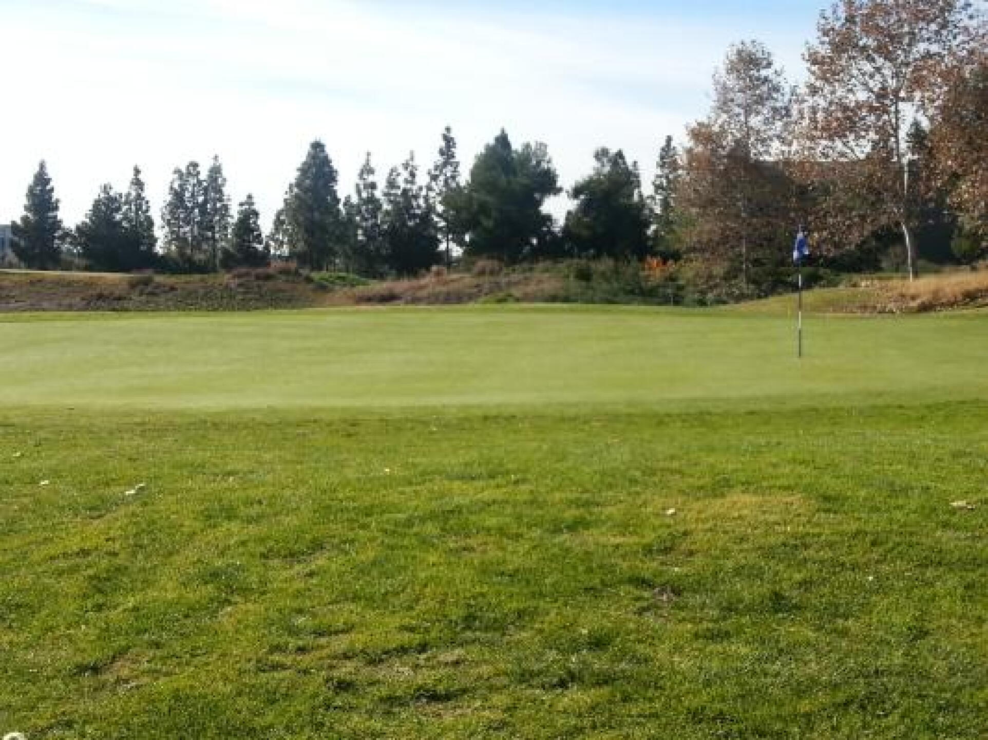 Second Hole Green (Photo submitted by whitetigergolf1 on 01/07/2013)