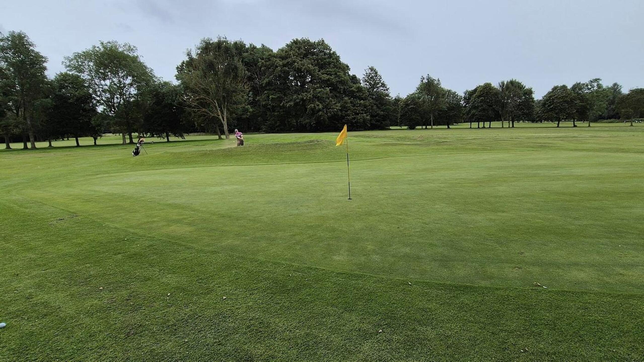 (Photo submitted by u314162782538 on 07/25/2024)