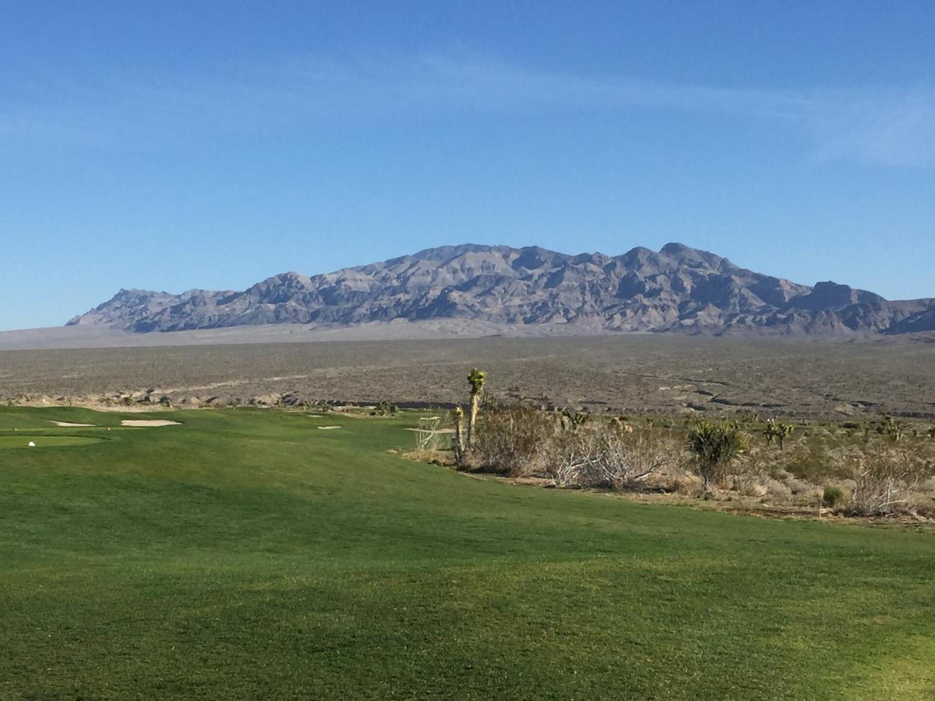 (Photo submitted by jastroz on 03/06/2016)