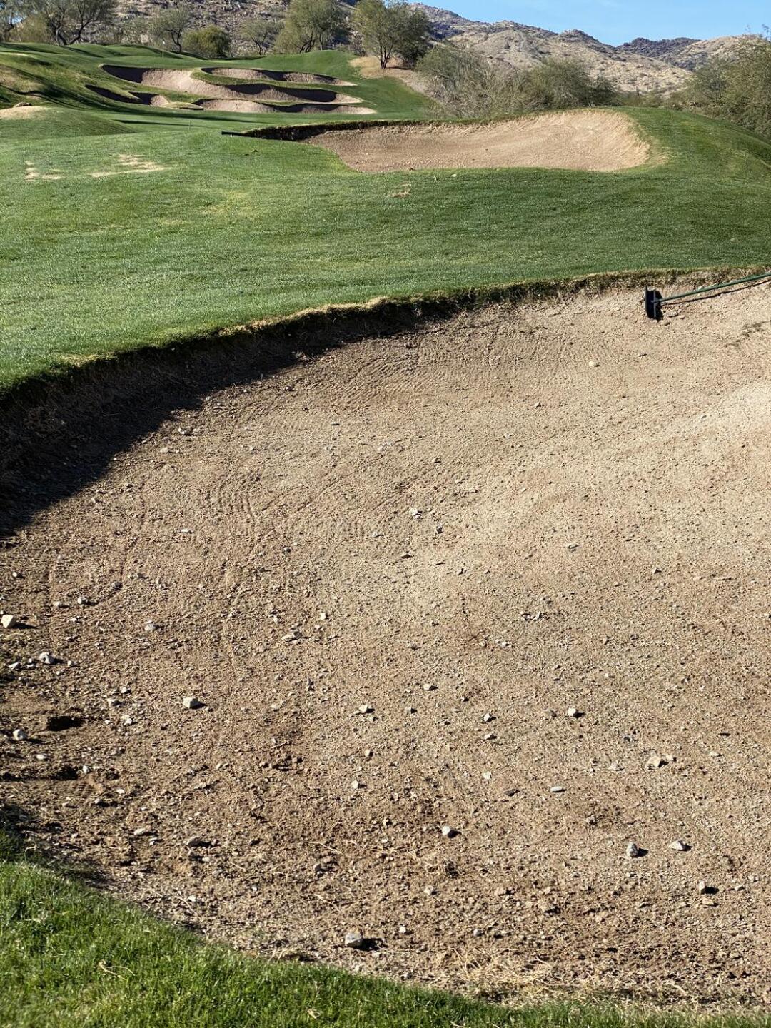 (Photo submitted by Bertsbirds on 01/07/2022)