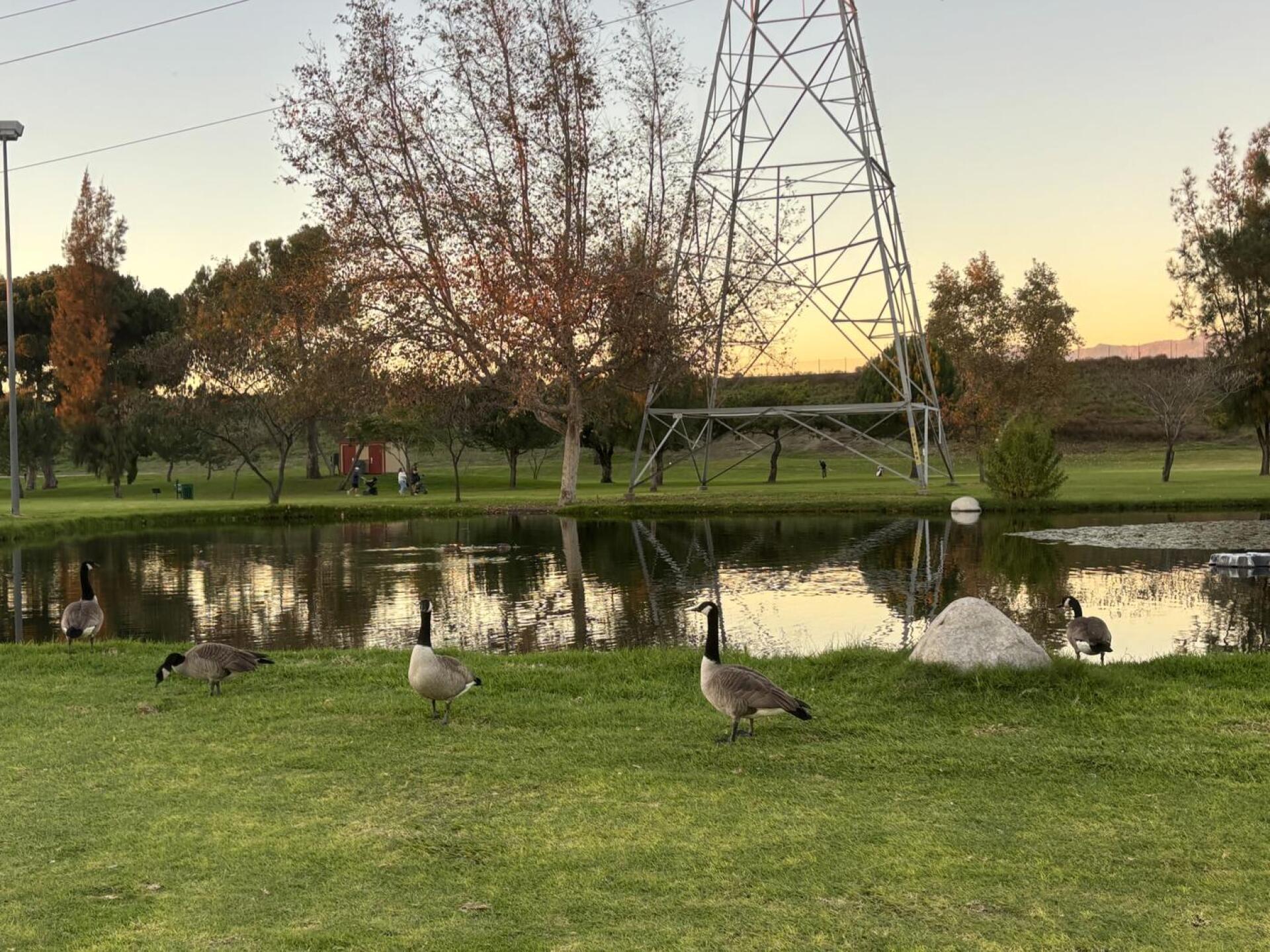 (Photo submitted by worrski on 12/06/2025)