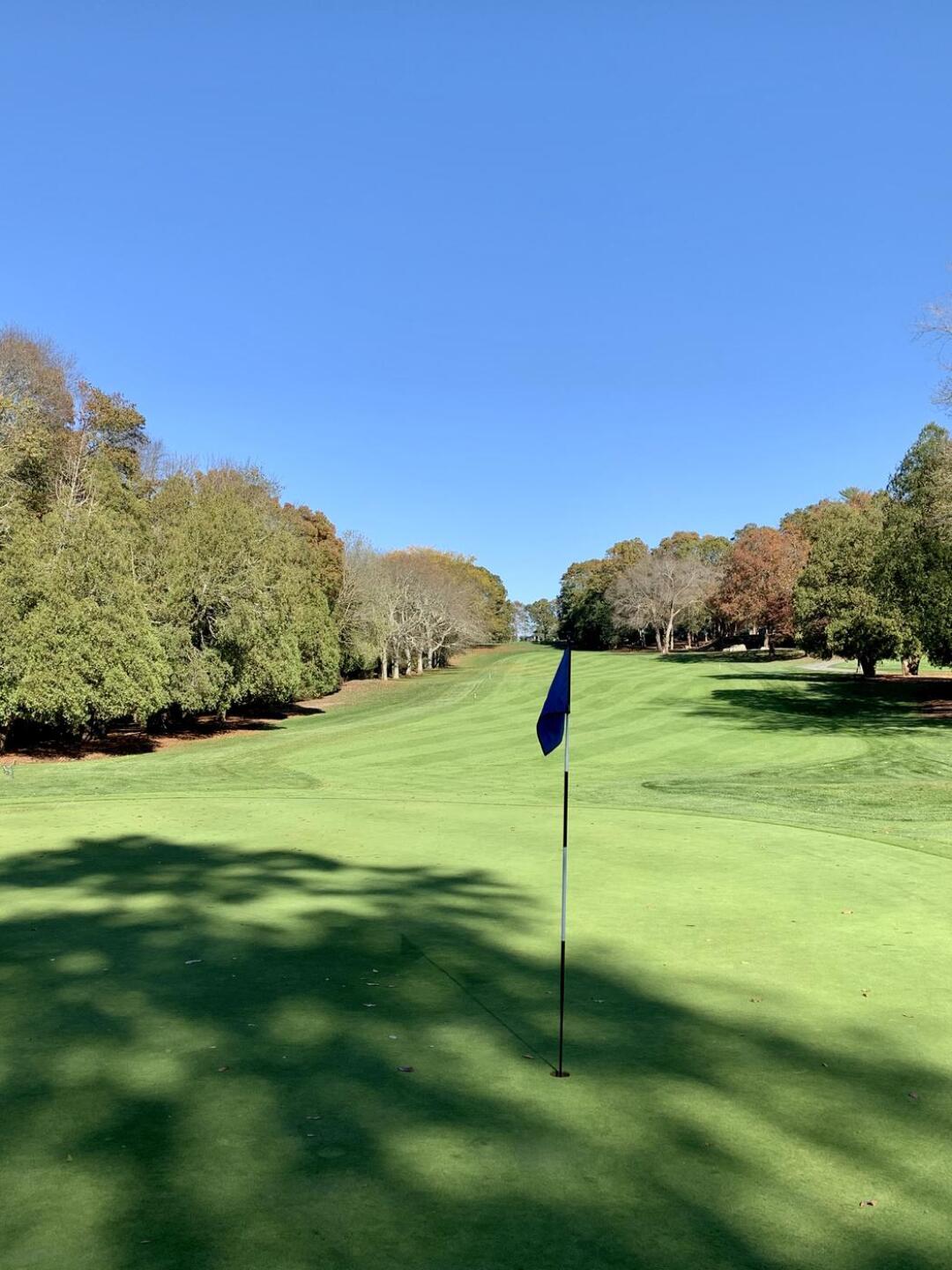 (Photo submitted by MichaelLowe on 11/01/2020)