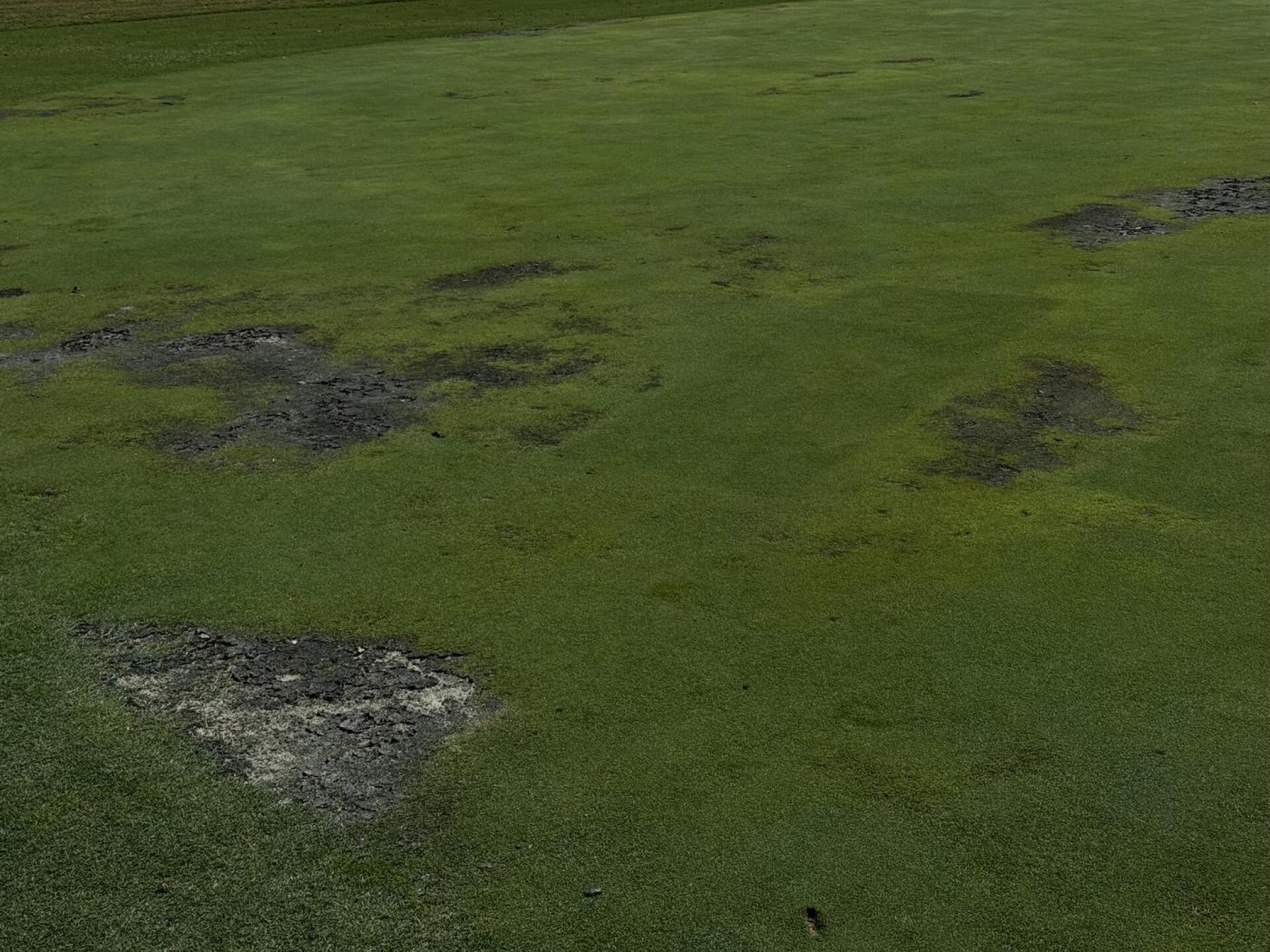 See (Photo submitted by karate on 08/23/2025)