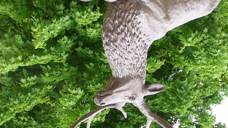 TPC Deere Run - deer statue