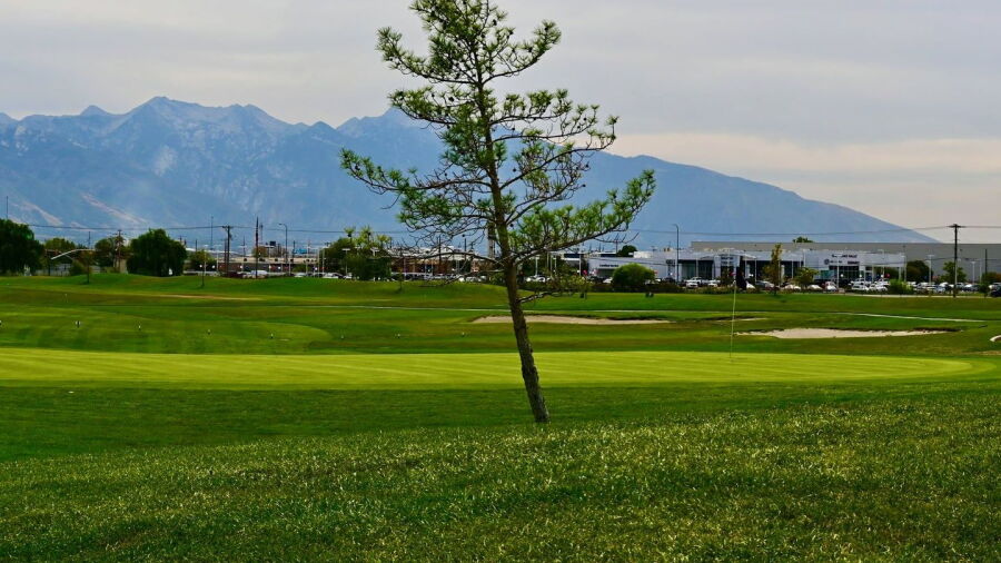 Golf The Round